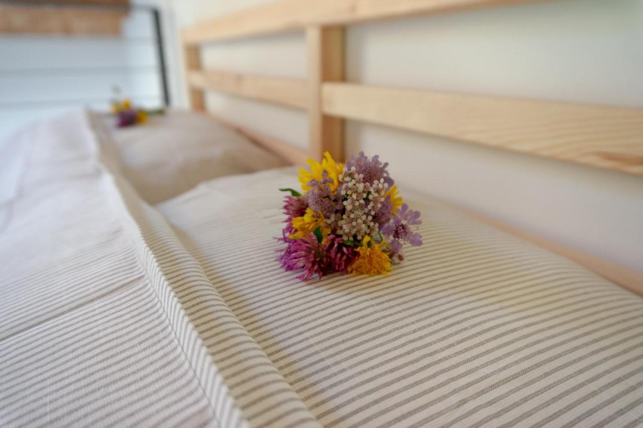 La Risorta Apartment Cesiomaggiore Екстериор снимка